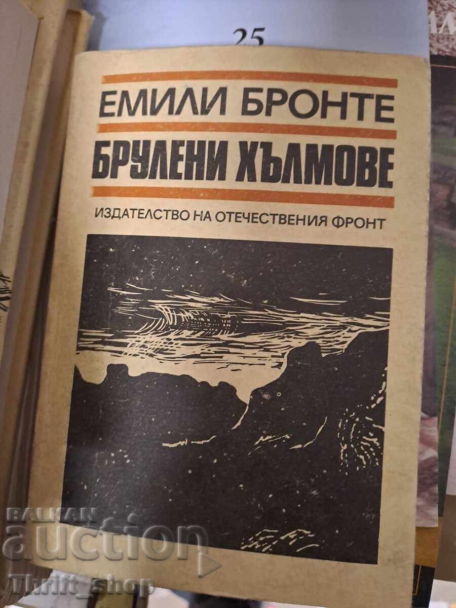 Burnt Hills Emily Bronte