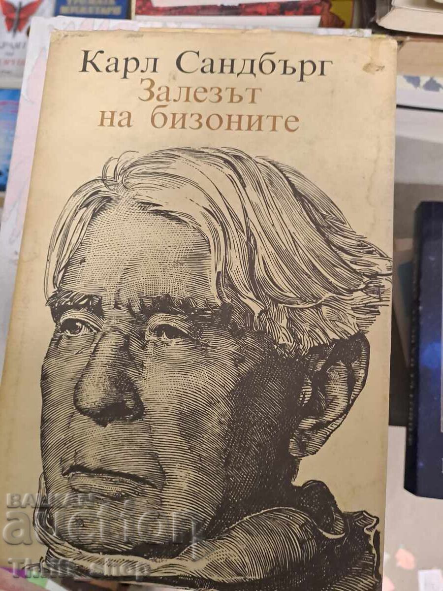 Apusul bizonilor Carl Sandburg Apusul bizonilor Carl Sandburg