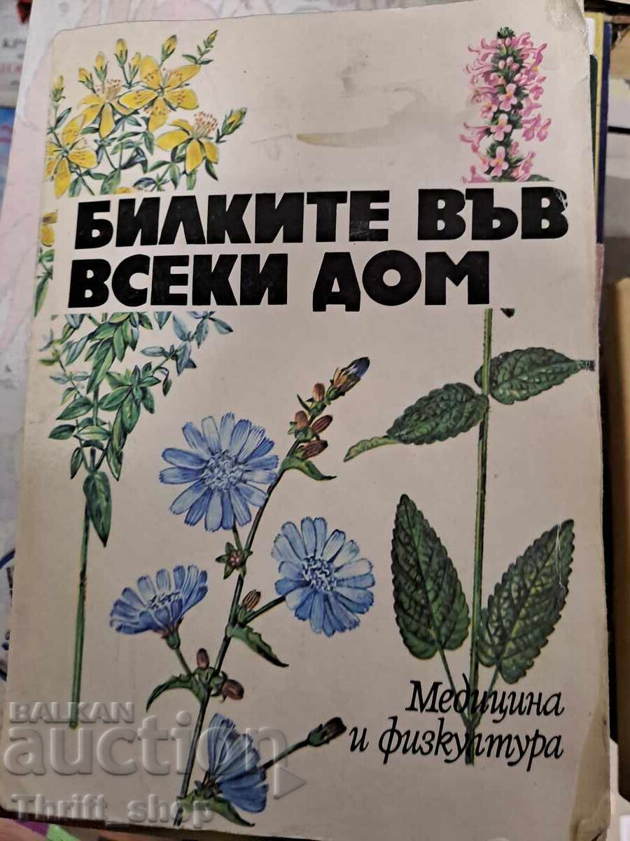 Ierburile din fiecare casă