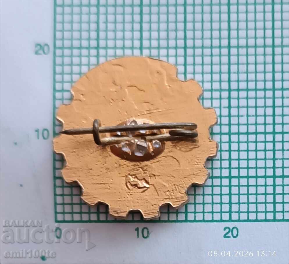 Доставка на Значка- Футболен клуб Авангард УССР