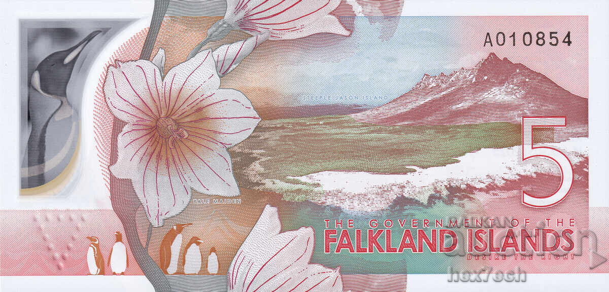 Licitație ❤️ ⭐ Insulele Falkland 2025 5 lire polimer UNC nouă ⭐ ❤️