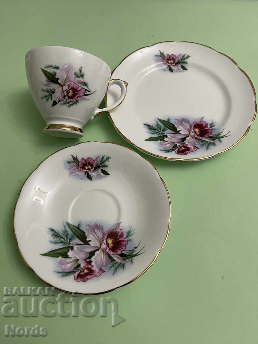 Παράδοση Delphine Όμορφο αγγλικό σετ τσαγιού Παράδοση Delphine Όμορφο αγγλικό σετ τσαγιού