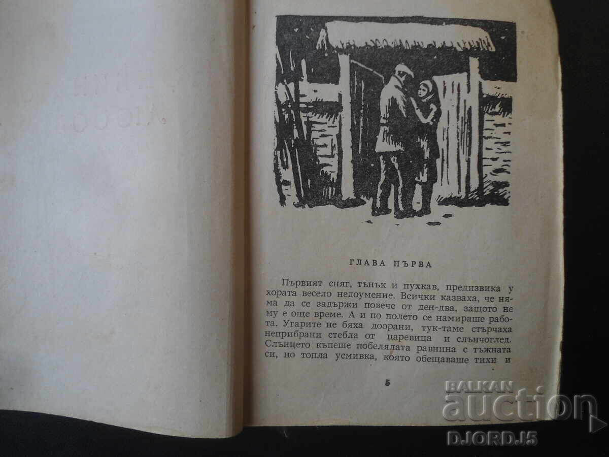 Licitație Dragostea lui Nonka, Ivaylo Petrov