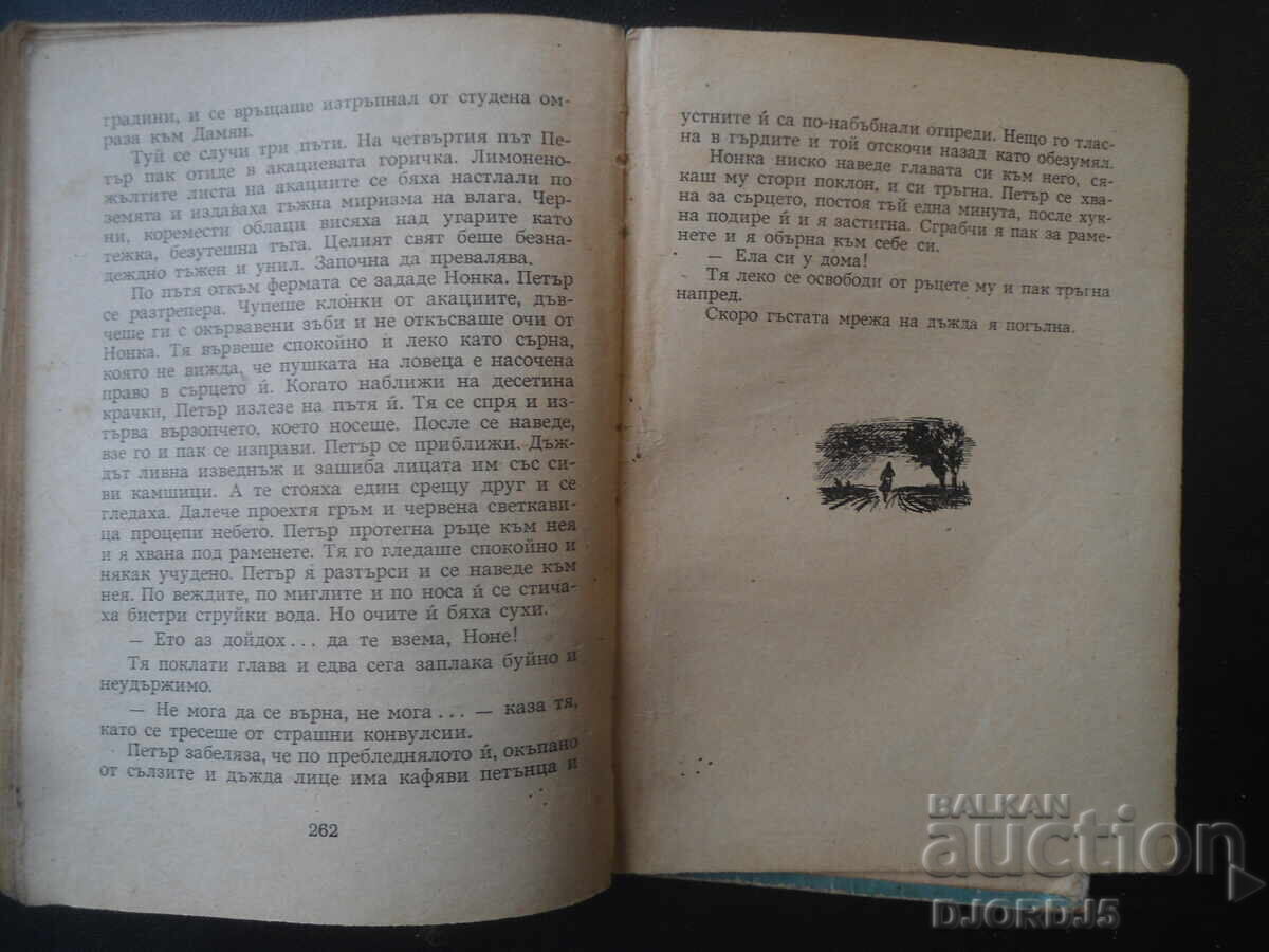 Dragostea lui Nonka, Ivaylo Petrov - 5