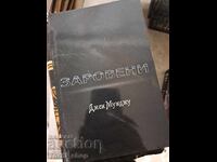 L-a îngropat pe Jem Mumju