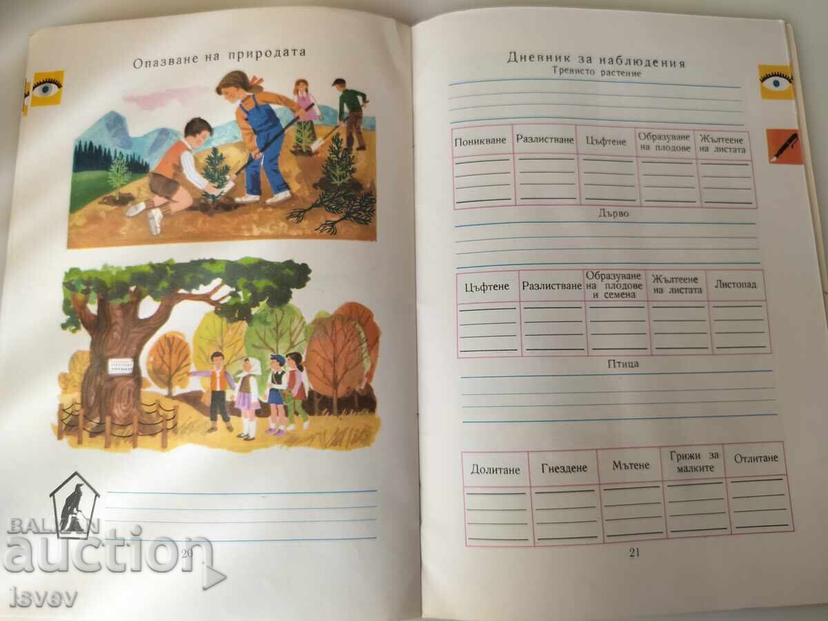 Homeland Studies workbook 1974 for 2nd grade - 7