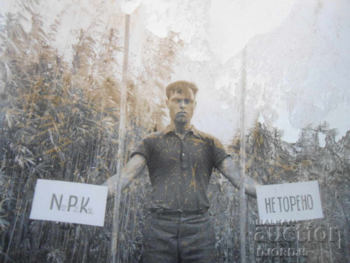 Stara snimka, Pazardzhik με τιμή € 1.00 | 1.96 BGN Stara snimka, Pazardzhik με τιμή € 1.00 | 1.96 BGN