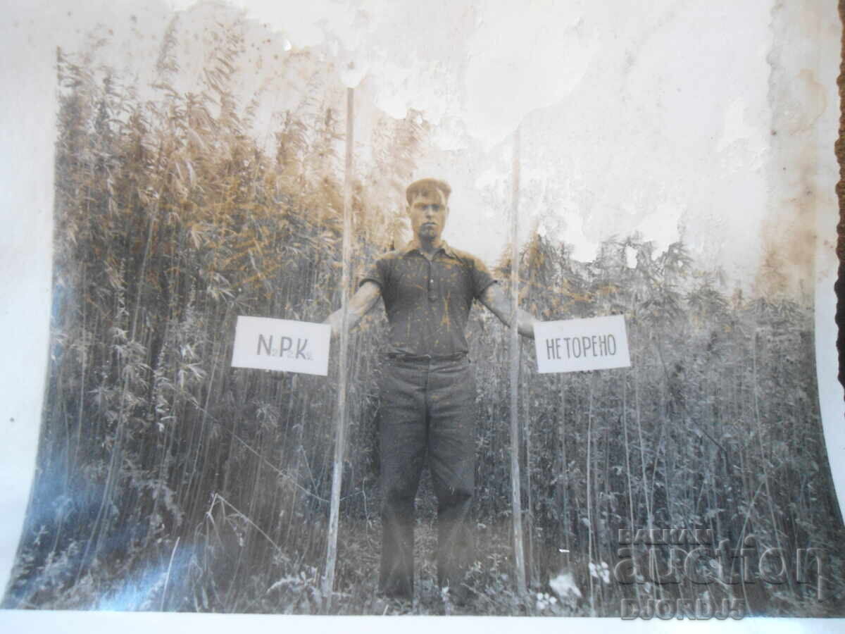 Stara snimka, Pazardzhik Stara snimka, Pazardzhik