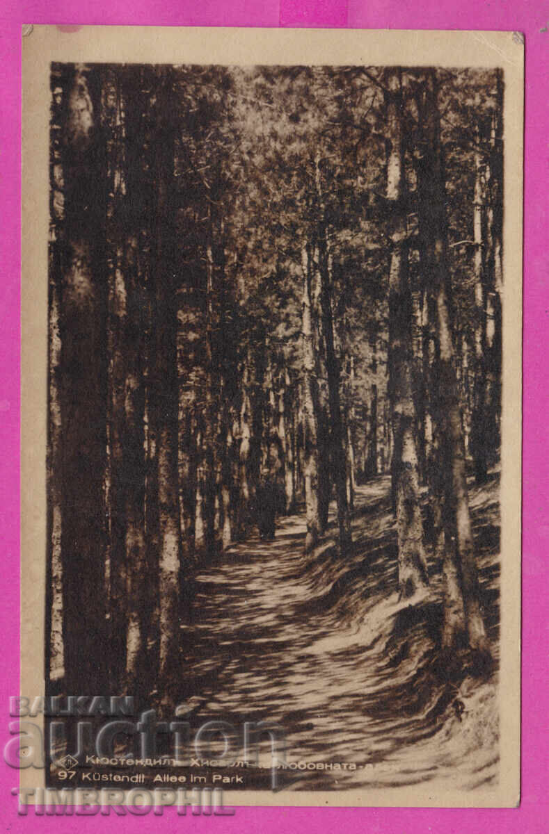 324127 / KYUSTENDIL - Hisarlaka, Love Alley No. 97 Paskov