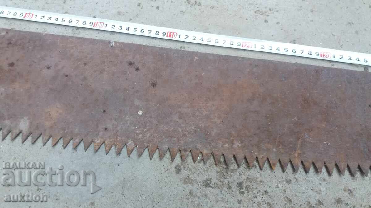 190 SM. ΜΑΣΙΦ ΠΡΙΟΝΙ ΓΙΑ ΧΟΝΤΡΟΥΣ ΚΟΡΜΟΥΣ - 6 190 SM. ΜΑΣΙΦ ΠΡΙΟΝΙ ΓΙΑ ΧΟΝΤΡΟΥΣ ΚΟΡΜΟΥΣ - 6