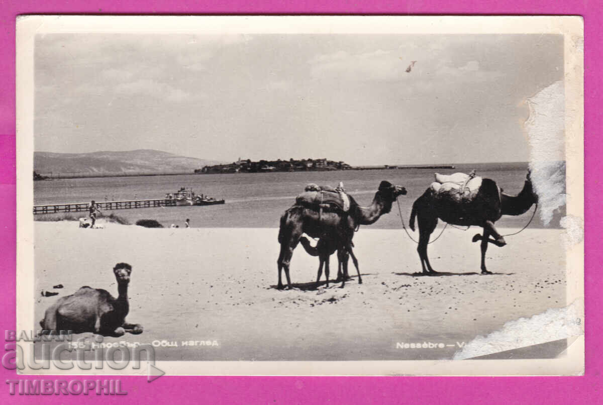 Аукцион 324134 / НЕСЕБЪР - Общ изглед Камили Фото Издания №155