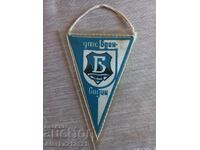 Steagul DFS Bdin Vidin