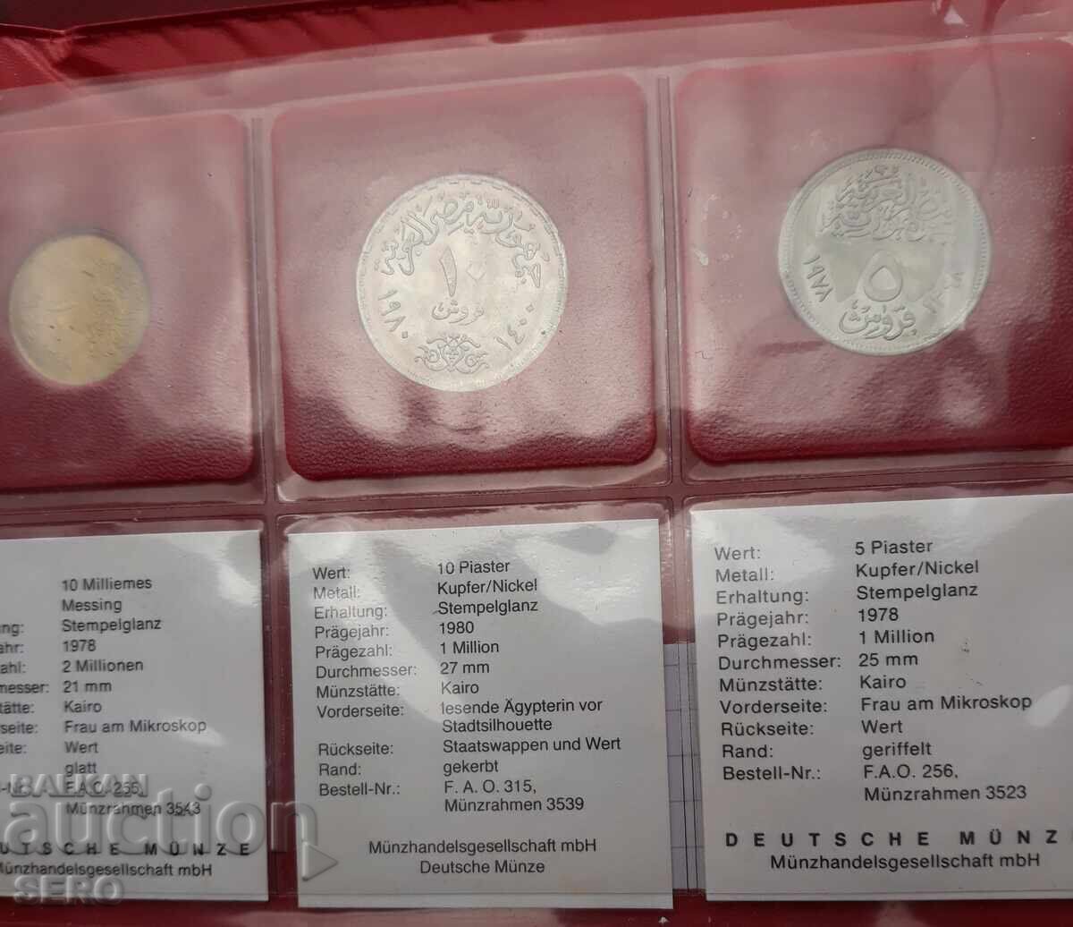 F.A.O - lot 6 monede din Egipt - 5