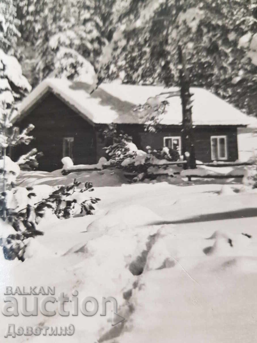 Δημοπρασία Ρίλα - Χειμερινό τοπίο, ΔΠ "Βουλγαρική φωτογραφία" 1962