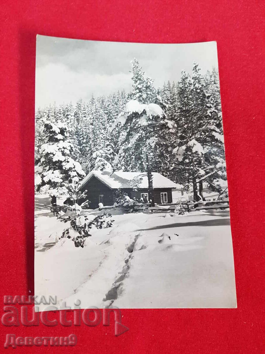 Ρίλα - Χειμερινό τοπίο, ΔΠ "Βουλγαρική φωτογραφία" 1962