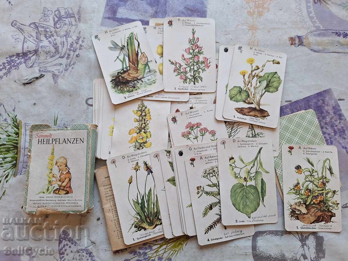 Παράδοση ✅ΓΕΡΜΑΝΙΚΕΣ ΚΑΡΤΕΣ - ΦΑΡΜΑΚΕΥΤΙΚΑ ΦΥΤΑ ΑΠΟ ΤΟ 1960❗ Παράδοση ✅ΓΕΡΜΑΝΙΚΕΣ ΚΑΡΤΕΣ - ΦΑΡΜΑΚΕΥΤΙΚΑ ΦΥΤΑ ΑΠΟ ΤΟ 1960❗