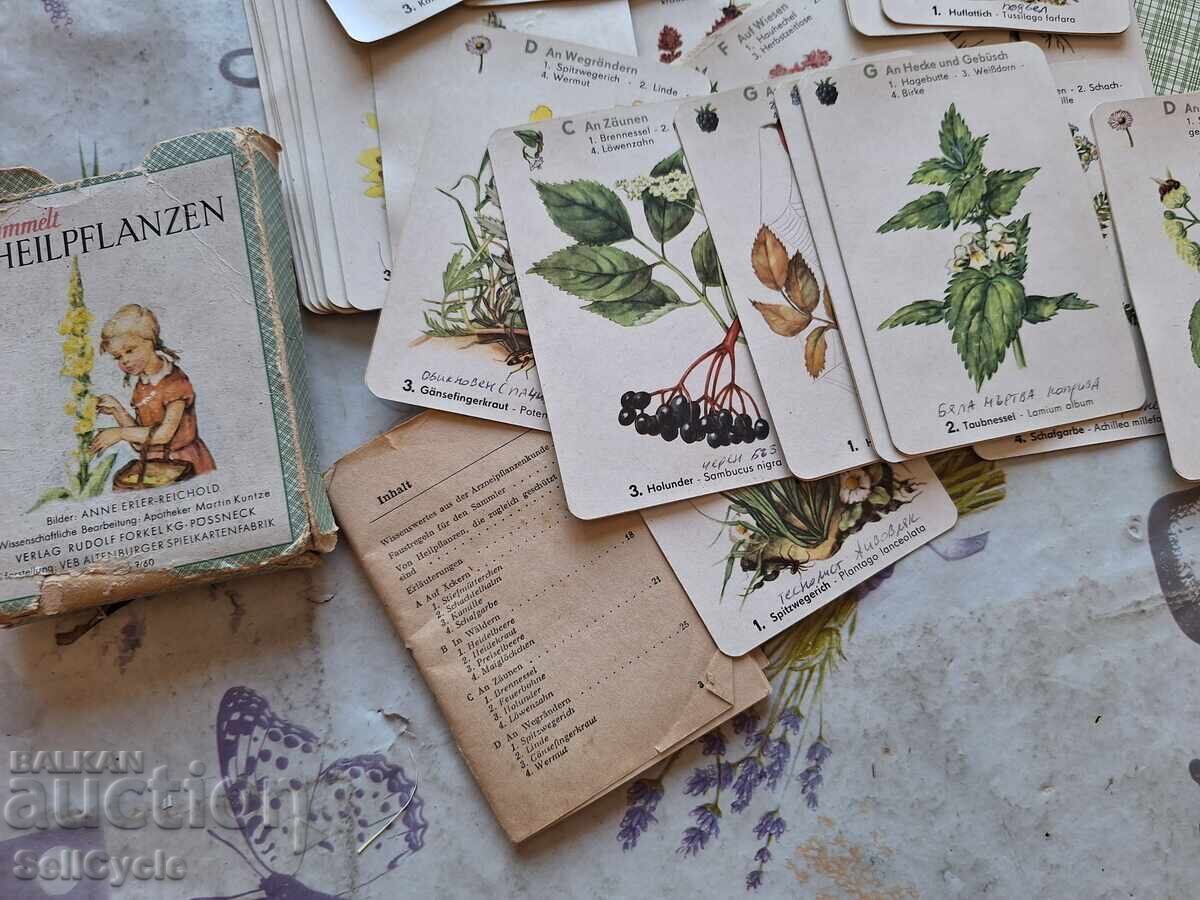 ✅ΓΕΡΜΑΝΙΚΕΣ ΚΑΡΤΕΣ - ΦΑΡΜΑΚΕΥΤΙΚΑ ΦΥΤΑ ΑΠΟ ΤΟ 1960❗ - 6 ✅ΓΕΡΜΑΝΙΚΕΣ ΚΑΡΤΕΣ - ΦΑΡΜΑΚΕΥΤΙΚΑ ΦΥΤΑ ΑΠΟ ΤΟ 1960❗ - 6