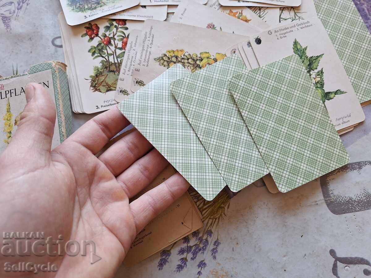 ✅ΓΕΡΜΑΝΙΚΕΣ ΚΑΡΤΕΣ - ΦΑΡΜΑΚΕΥΤΙΚΑ ΦΥΤΑ ΑΠΟ ΤΟ 1960❗ - 7 ✅ΓΕΡΜΑΝΙΚΕΣ ΚΑΡΤΕΣ - ΦΑΡΜΑΚΕΥΤΙΚΑ ΦΥΤΑ ΑΠΟ ΤΟ 1960❗ - 7