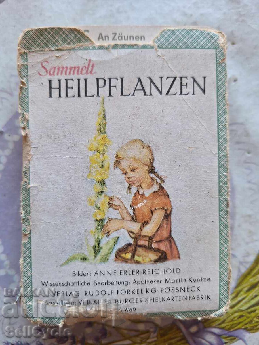 ✅ΓΕΡΜΑΝΙΚΕΣ ΚΑΡΤΕΣ - ΦΑΡΜΑΚΕΥΤΙΚΑ ΦΥΤΑ ΑΠΟ ΤΟ 1960❗ ✅ΓΕΡΜΑΝΙΚΕΣ ΚΑΡΤΕΣ - ΦΑΡΜΑΚΕΥΤΙΚΑ ΦΥΤΑ ΑΠΟ ΤΟ 1960❗