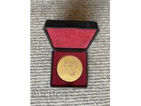 FOOTBALL, 1986 VERY RARE PLAQUE 50 YEARS LOKOMOTIV PLOVDIV