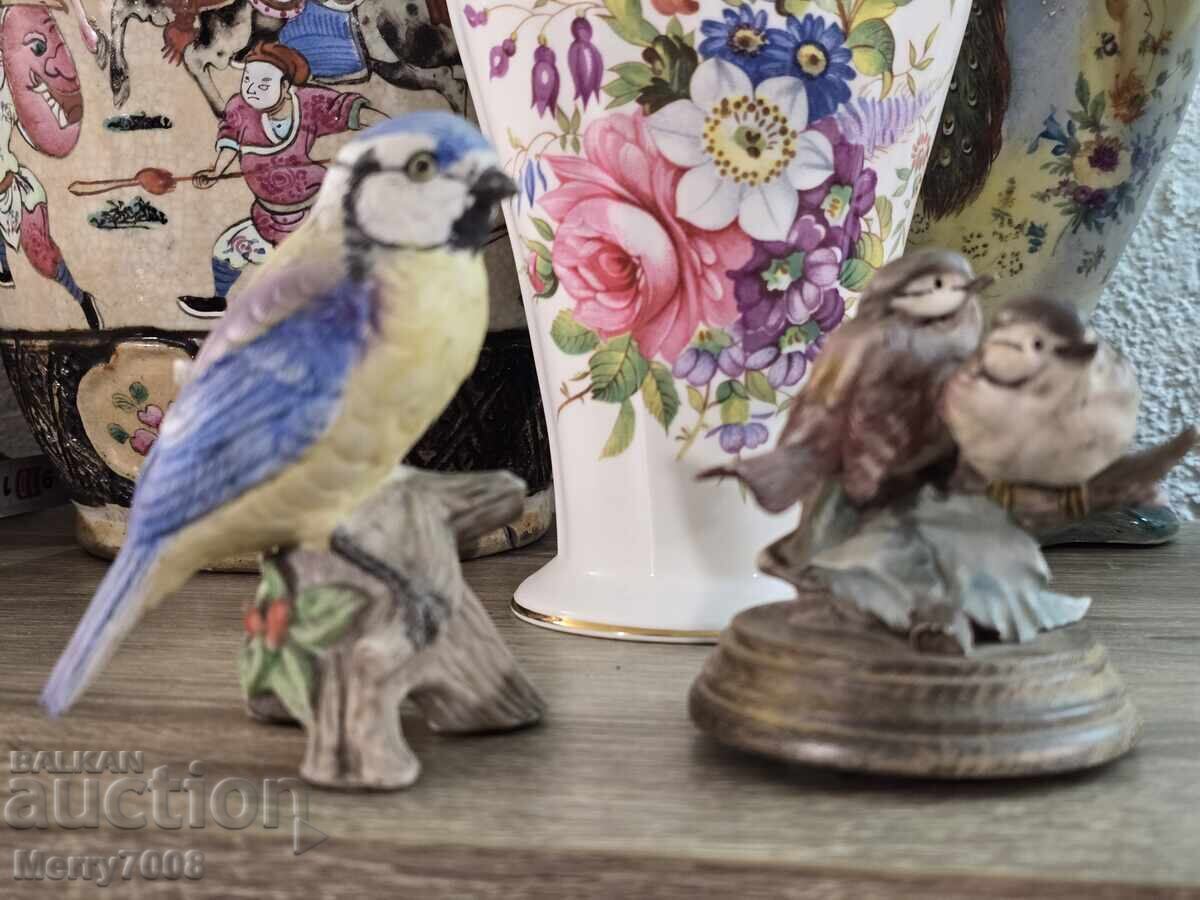 Pițigoi și o pereche de păsărele !!!