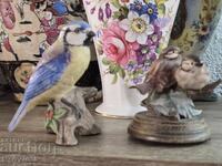 Pițigoi și o pereche de păsărele !!!