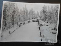 Old photograph, "BALGARSKO DELO" Photo, Sofia