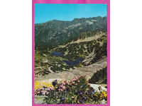 324183 / Пирин планина - "Стражите" ДИ "Септември" Д-22462-А