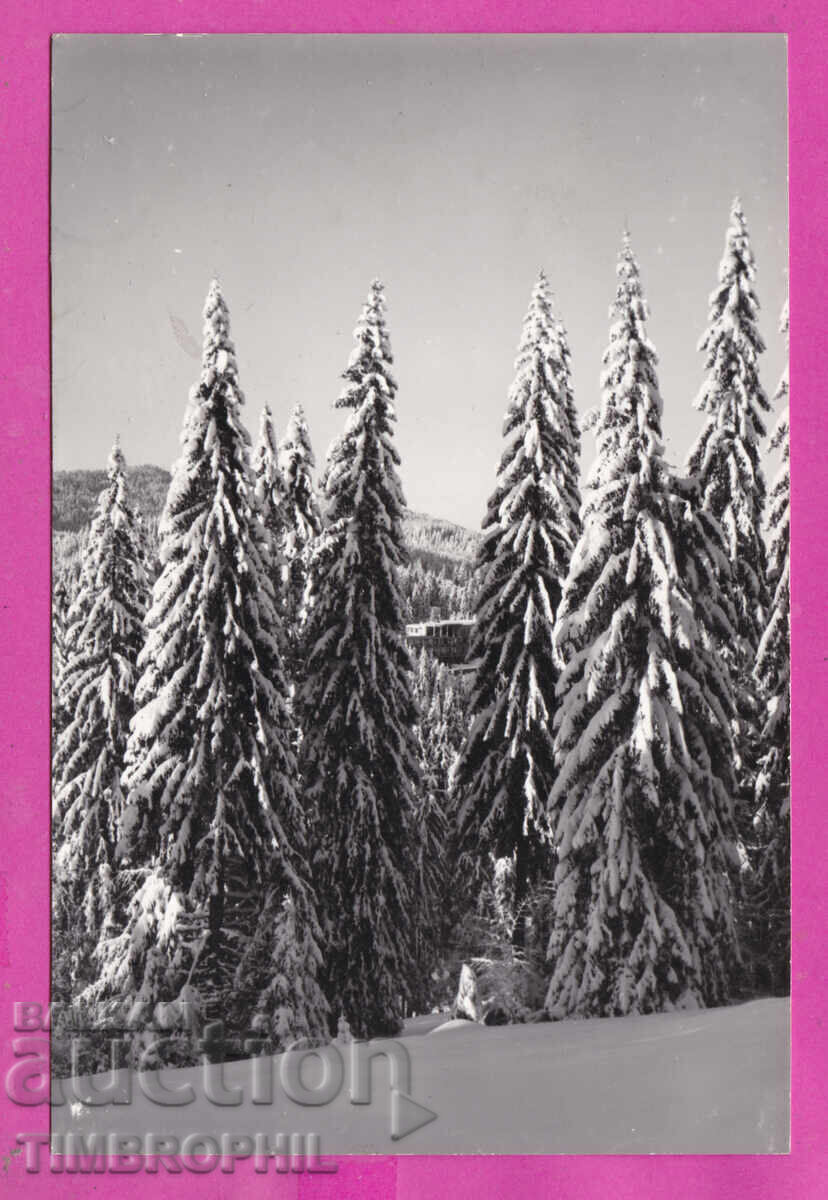 324185 / ПАМПОРОВО - през зимата ДП "Фотография" - Смолян