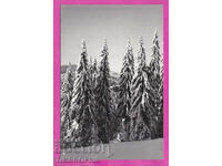 324185 / ΠΑΜΠΟΡΟΒΟ - κατά τη διάρκεια του χειμώνα ΔΕ "Φωτογραφία" - Σμόλιαν