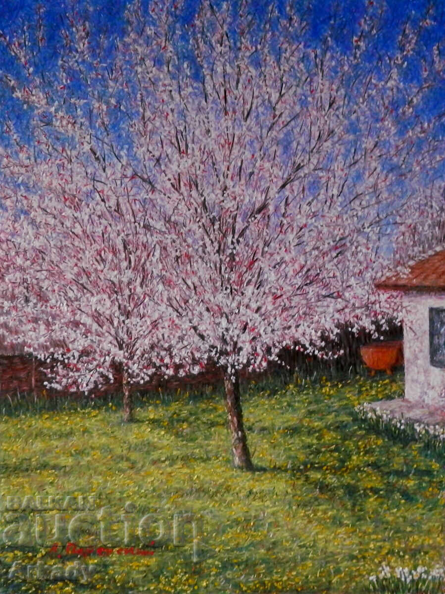 Culoare caisă