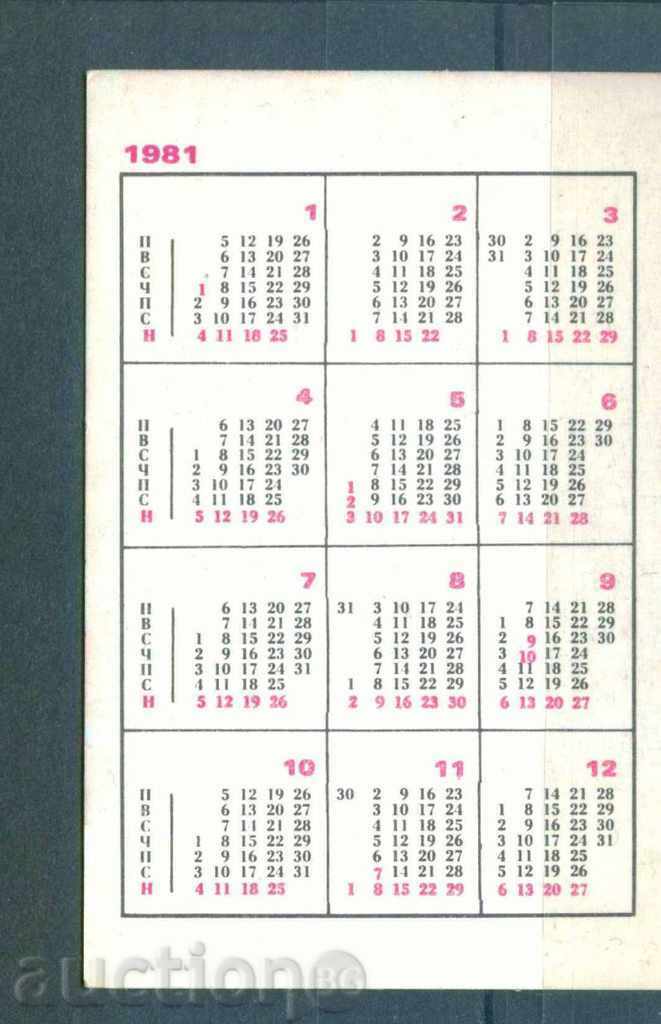 53073 / Kalendarche 1981 ZMS PAVEL PAVLOV - BORBA OT SLAVIYA with price € 0.60 | 1.17 BGN