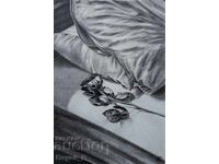 «Sledite ostavat» - σχέδιο