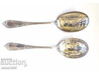 Ryadki srebyrni  lyzhitsi