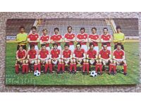 Κάρτα ποδοσφαίρου ΤΣΣΚΑ