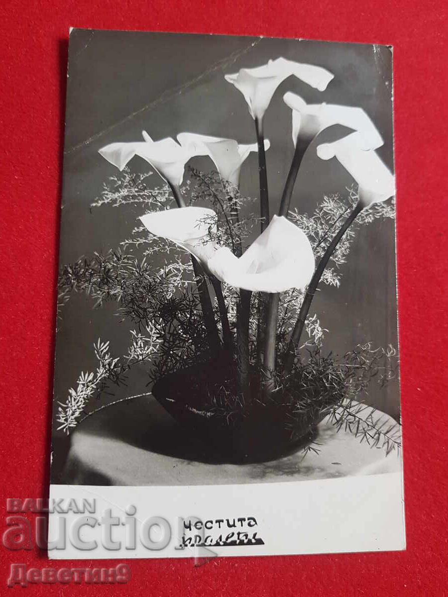 Chestita prolet - Foto kartichka/chestitka