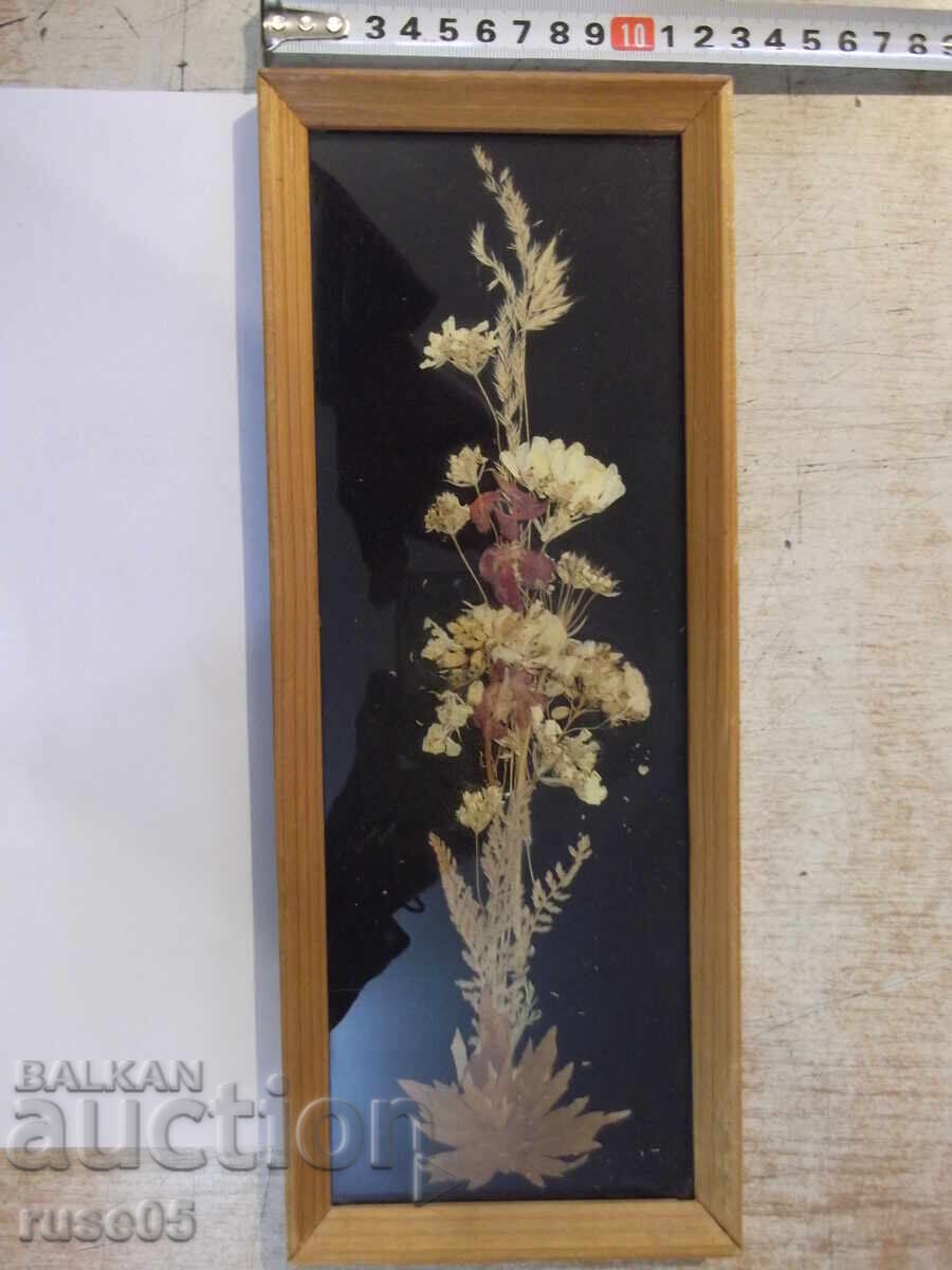 Panou decorativ din flori uscate cu preț € 7.00 | 13.69 BGN Panou decorativ din flori uscate cu preț € 7.00 | 13.69 BGN