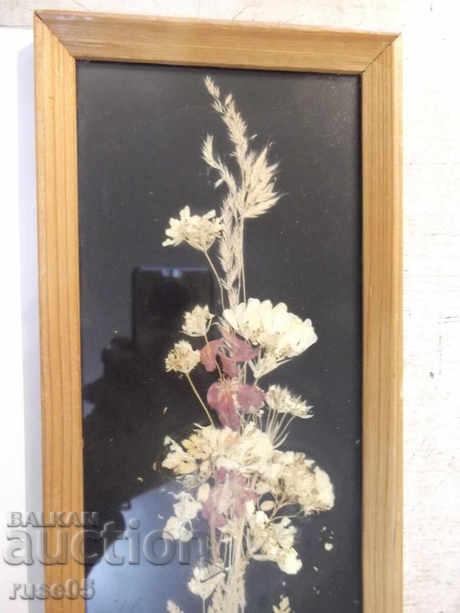 Licitație Panou decorativ din flori uscate Licitație Panou decorativ din flori uscate
