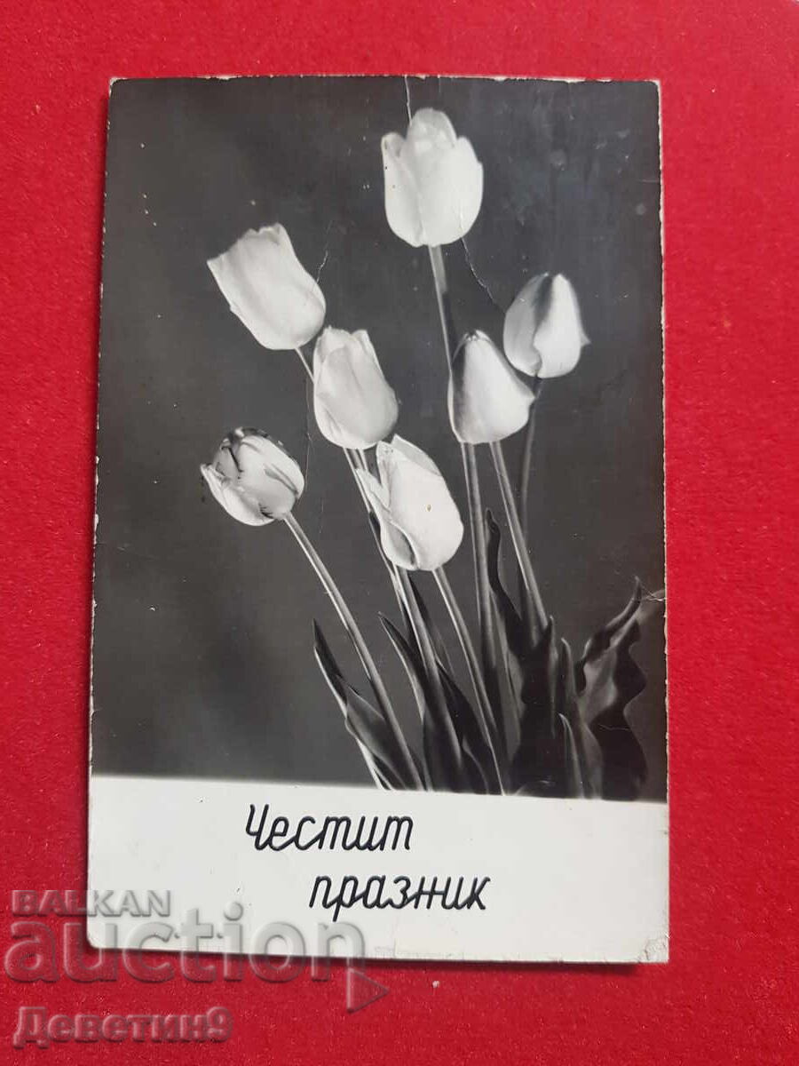 Χρόνια πολλά - Φωτογραφική κάρτα/ευχετήρια κάρτα Χρόνια πολλά - Φωτογραφική κάρτα/ευχετήρια κάρτα