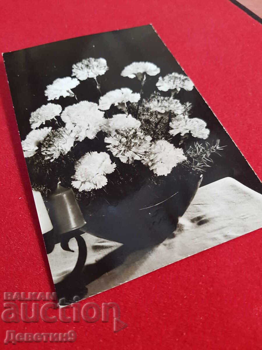 Licitație Carte poștală foto/felicitare Licitație Carte poștală foto/felicitare