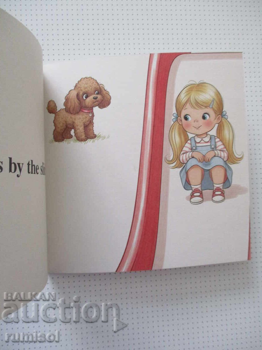 Licitație Copilul poate citi! - Ascunde și găsește