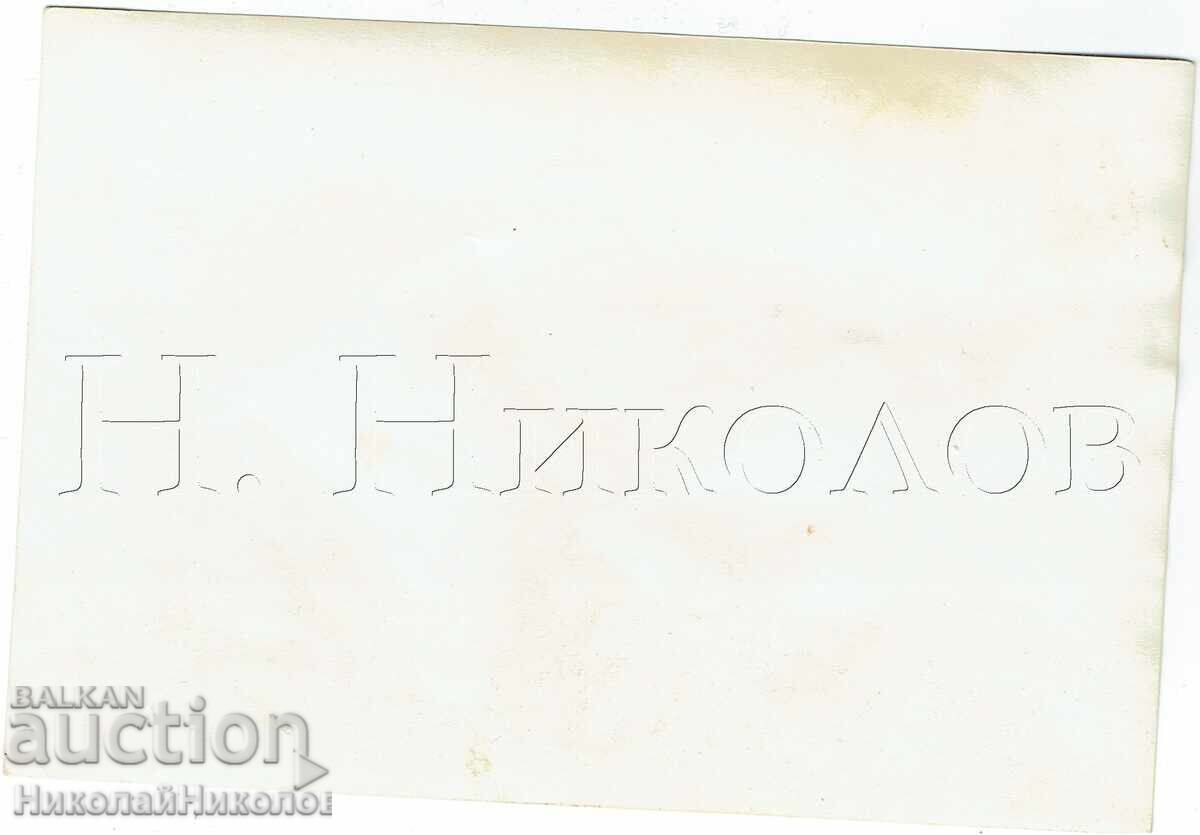 Auction  1958 LARGE OLD PHOTO CRIMEA GURZUF PIONEER FESTIVAL Zh599