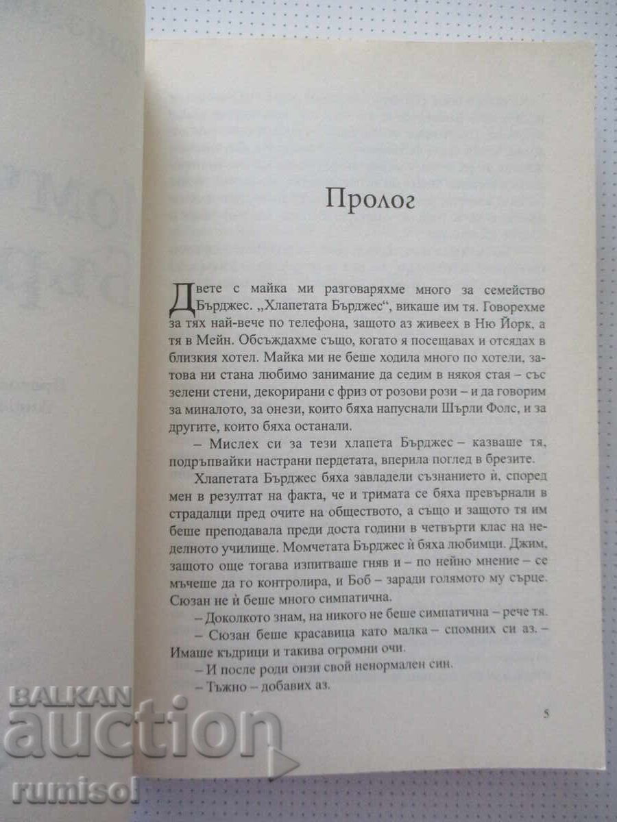 Δημοπρασία Τα αγόρια Μπέρτζες - Ελίζαμπεθ Στράουτ