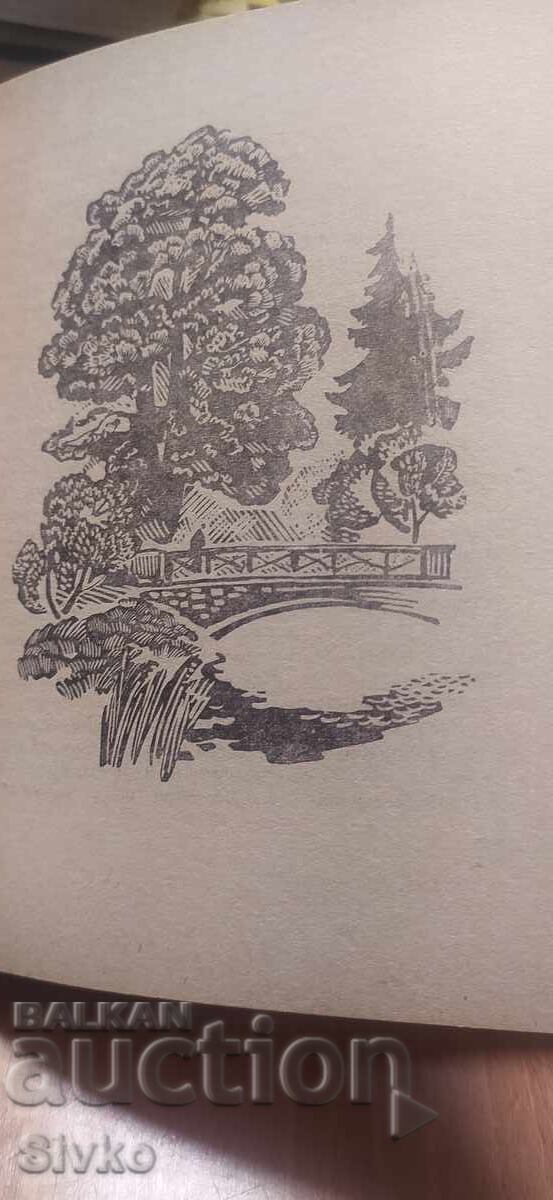 Leningrad, ghid turistic pe scurt, multe ilustrații - 7