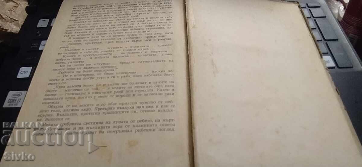 Аукцион Сълзи неизплакани, Мирко Божич