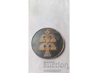 Plachetă al Treilea festival național de creație populară 1976