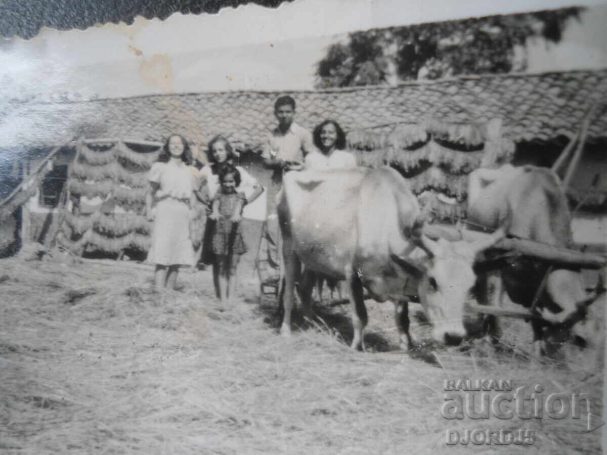 παλιά φωτογραφία με τιμή € 1.50 | 2.93 BGN