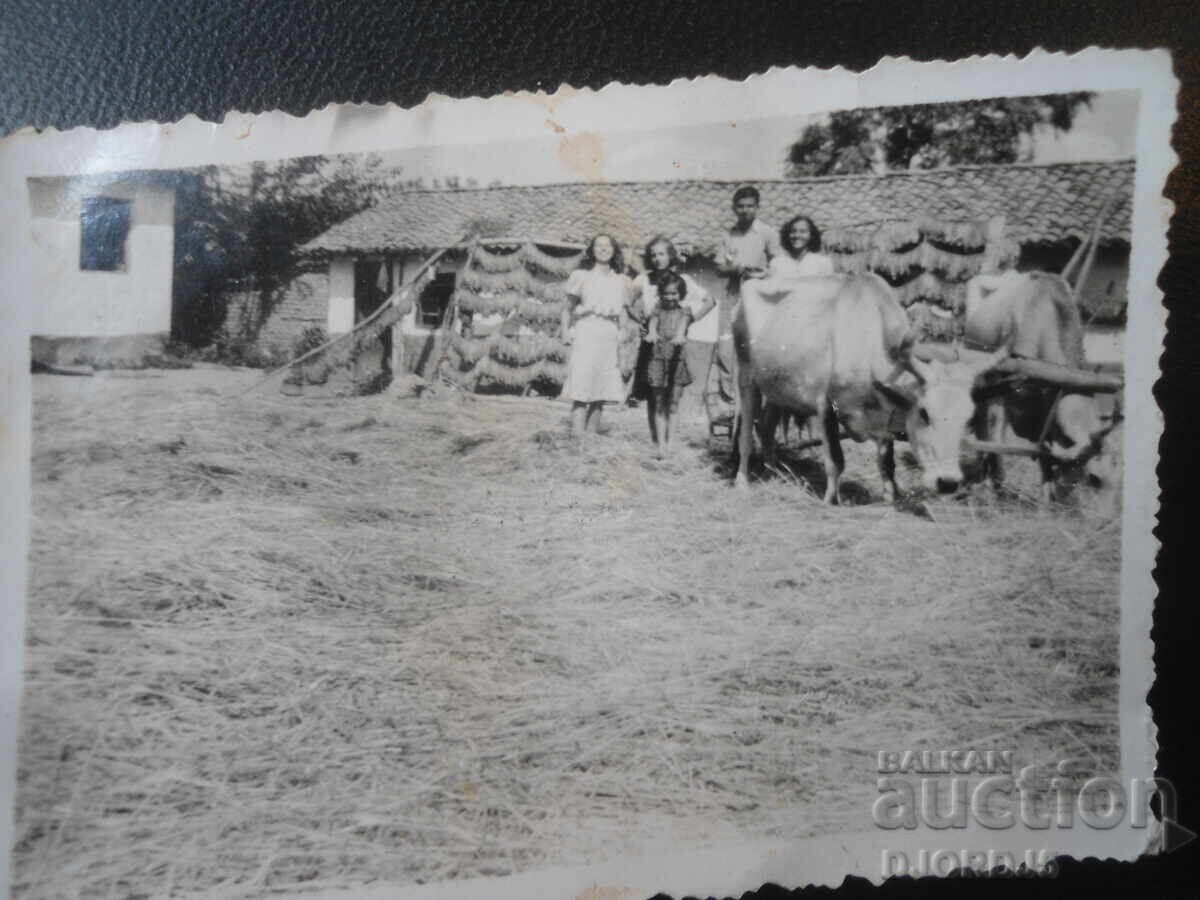 παλιά φωτογραφία