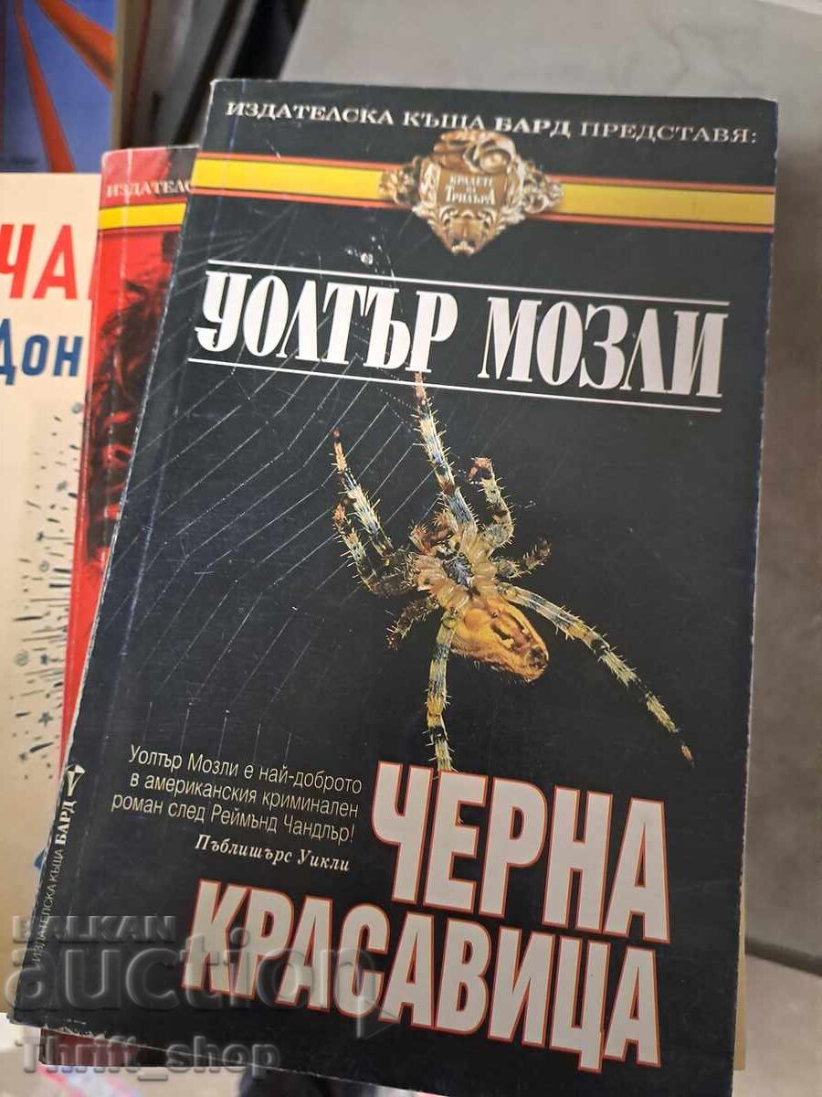 Black Beauty Walter Mosaic