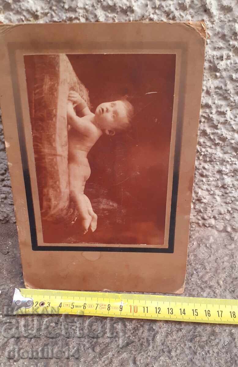 Livrarea Fotografie veche rigidă